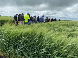 MFMG and FAR Australia Field Day: Bool Lagoon and Struan