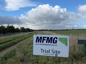 MFMG invites Expressions of Interest for the role of Project Officer.
MFMG is looking for an engaging and motivated Project Officer – Agricultural Research & Extension to join our vibrant team to deliver high‑value research, development, extension and adoption (RDE&A) across one of Australia’s mo...